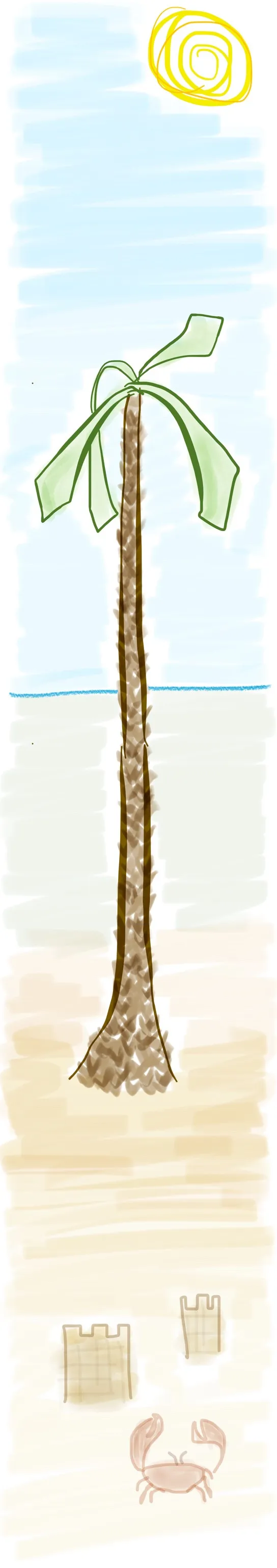 Doodles item Outdoors image Very Tall Palm Tree At Beach